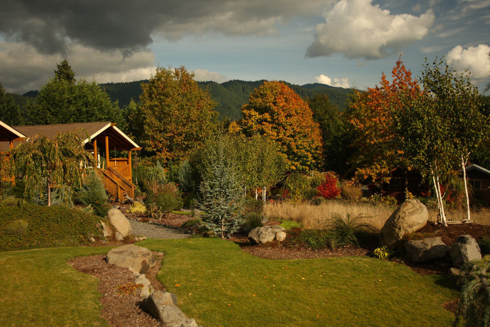 Carson Ridge Luxury Cabins Экстерьер фото
